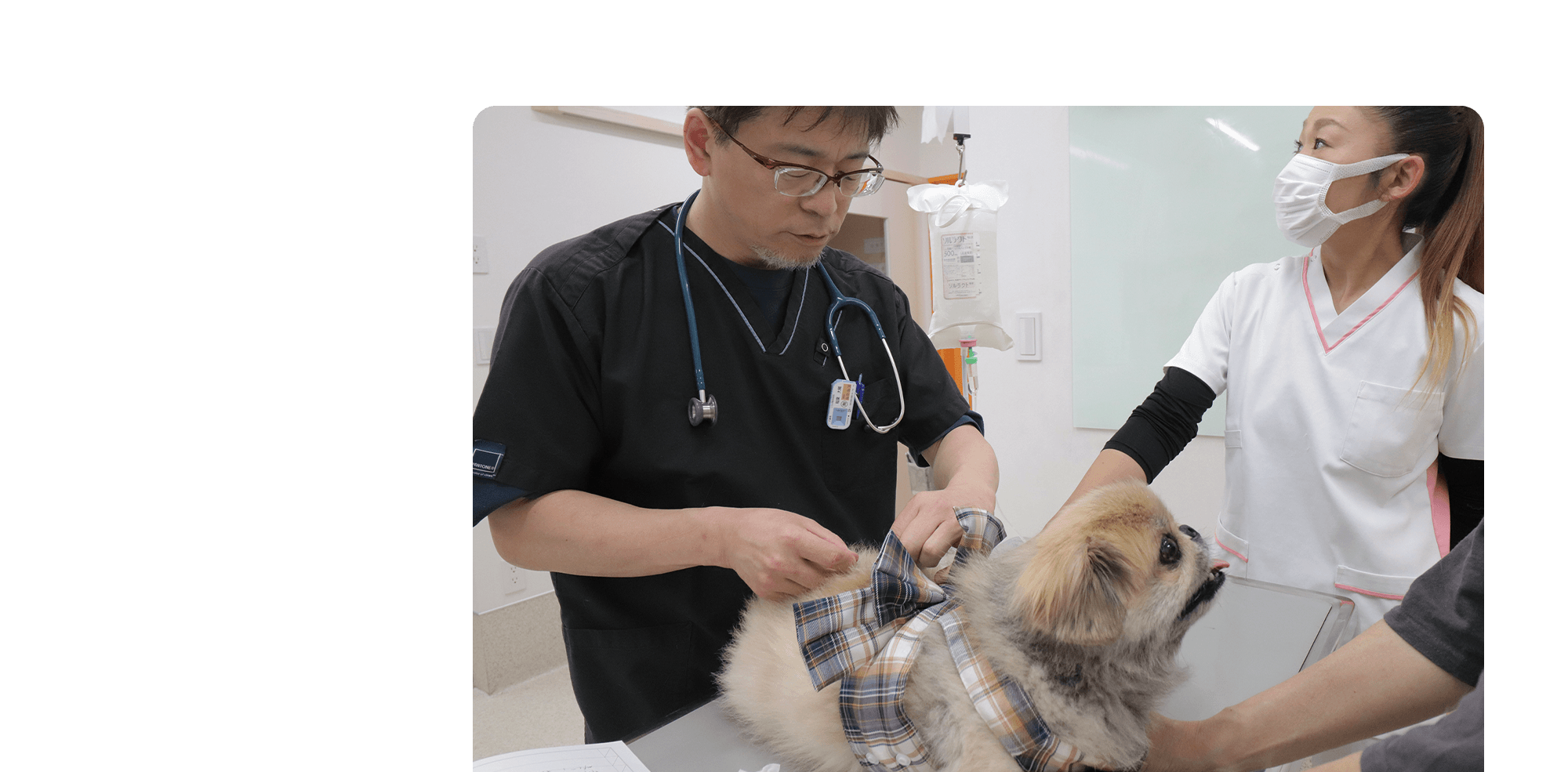 大切な家族の毎日に、寄り添う診療を。