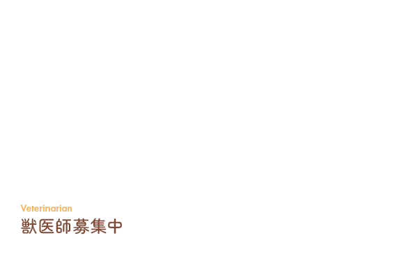獣医師募集中