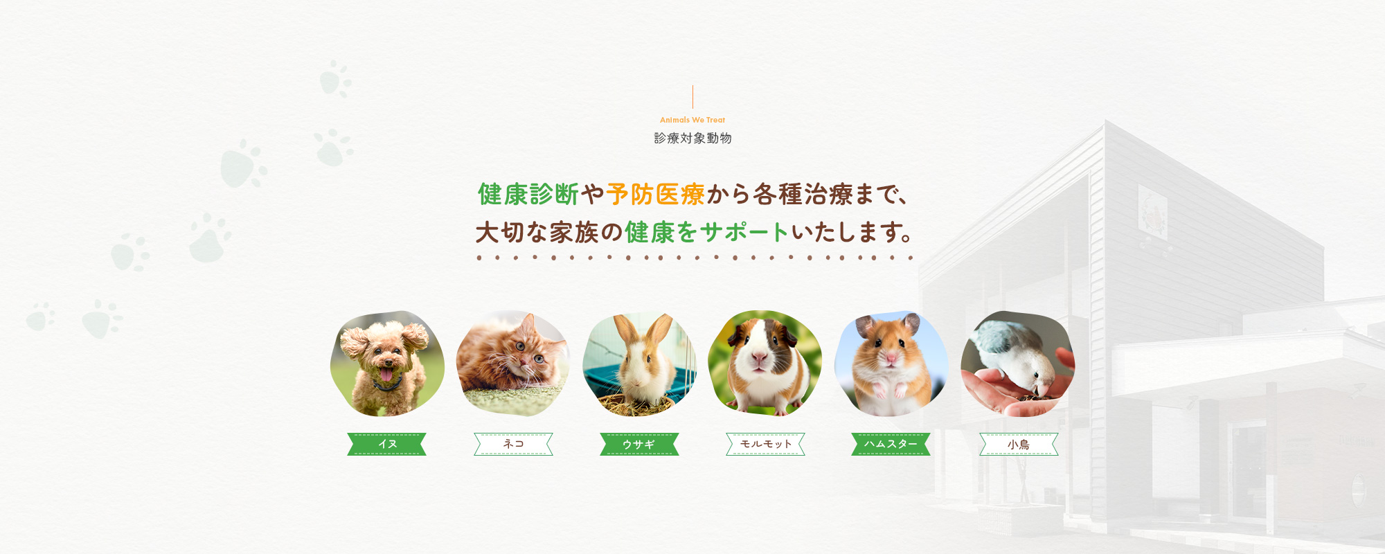 診療対象動物について