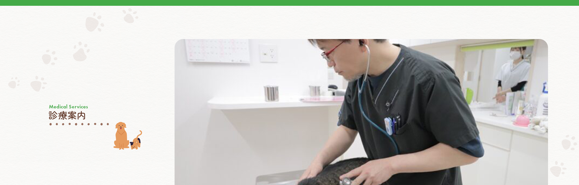 診療案内